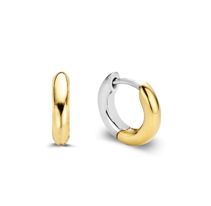 Two Tone Hoop Earrings